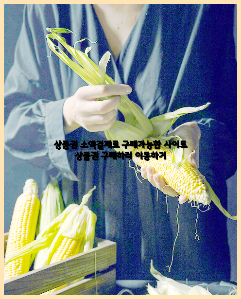 소액결제